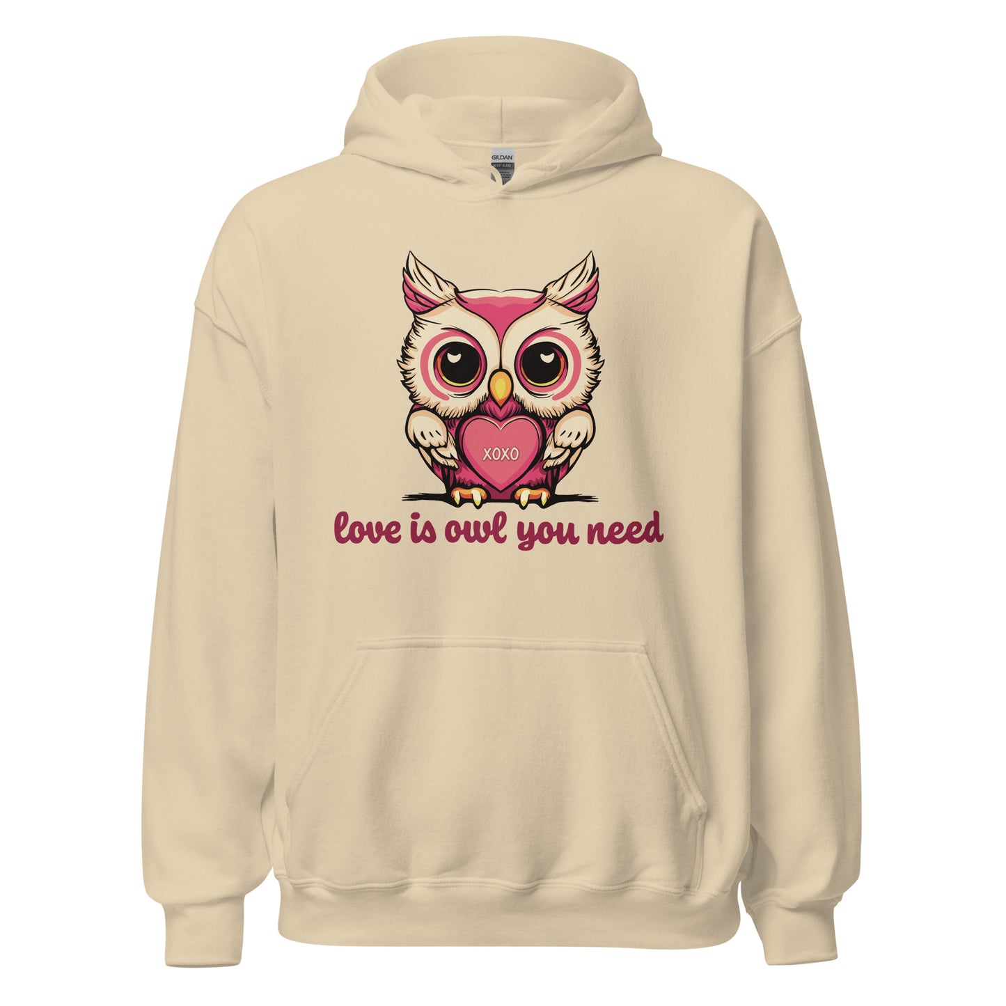 Women's Valentine's Day Hoodie, Love is Owl You Need Cute Owl Graphic Hooded Sweatshirt for Ladies