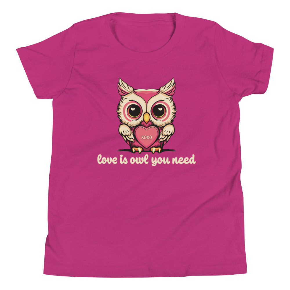 Youth Girls Valentine's Day T Shirt, Love is Owl You Need Cute Owl Graphic Tee for Kids - Youth Clothing Sizes Short Sleeve T-Shirt